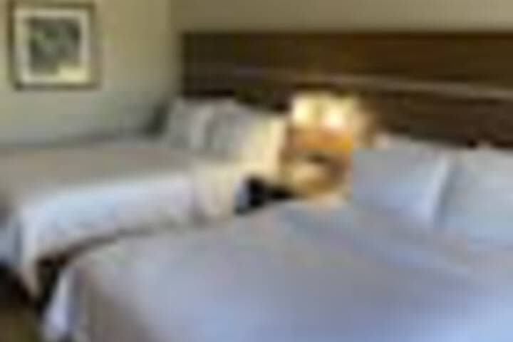 Room 17 of 243